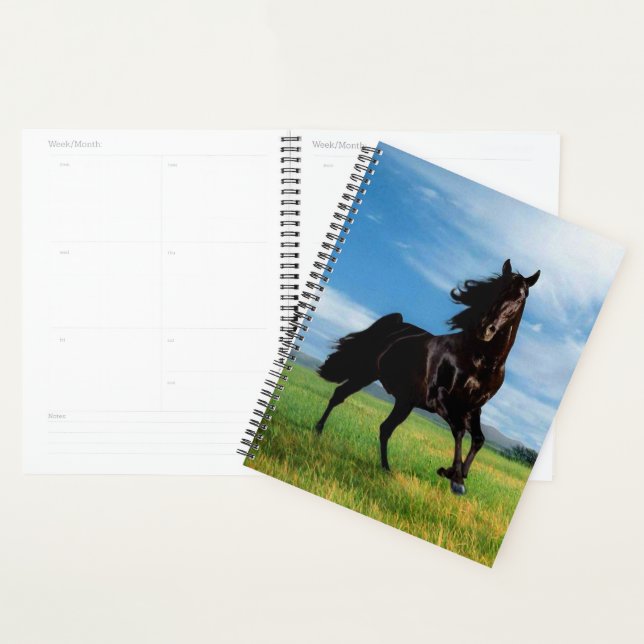 Black Stallion Planner (Display)