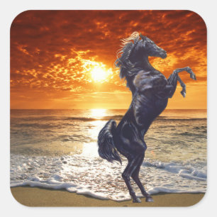 Black Stallion Square Sticker