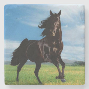 Black Stallion Stone Coaster