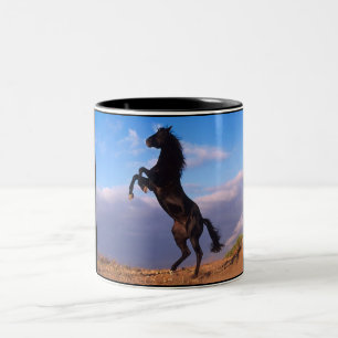 Black Stallion Two-Tone Coffee Mug