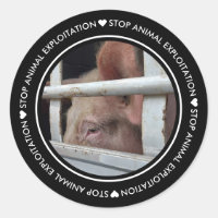 Black Stop Animal Exploitation Pig Photo Sticker