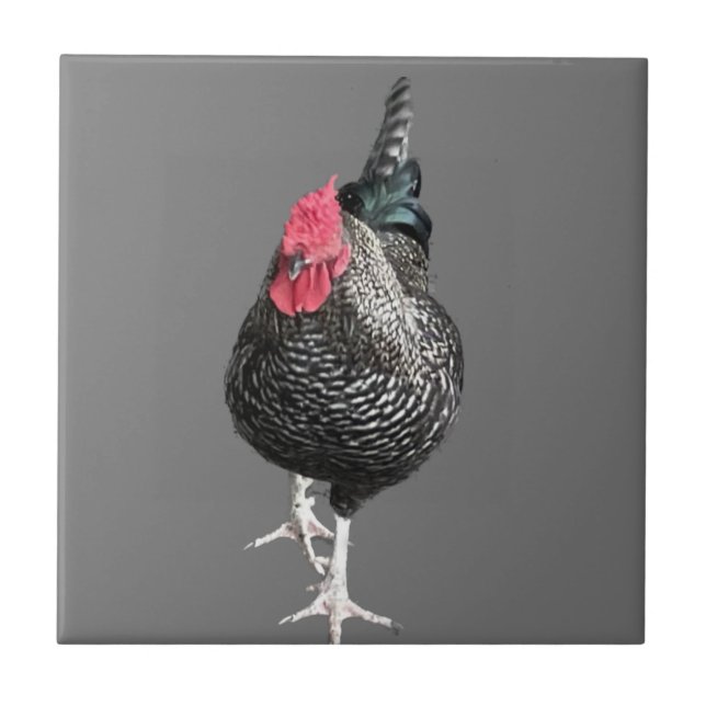 Black Strutting Cockerel No 3  Tile (Front)