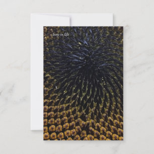 Black Sunflower Seeds Card