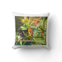 Black Swallow Butterfly #2
