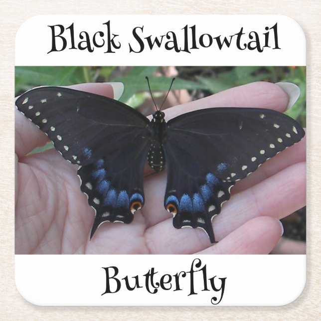 Black Swallowtail Butterfly #1 Square Paper Coaster (Front)