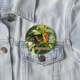 Black Swallowtail Butterfly #2  7.5 Cm Round Badge