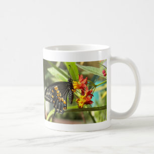 Black Swallowtail Butterfly#2-mug Coffee Mug