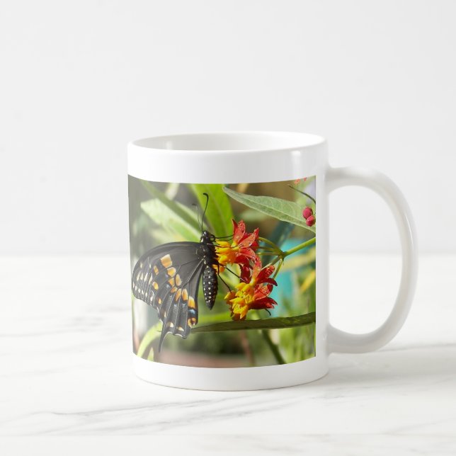 Black Swallowtail Butterfly#2-mug Coffee Mug (Right)