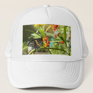 Black Swallowtail Butterfly #2 Trucker Hat