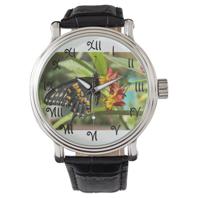 Black Swallowtail Butterfly #2-watch Watch (Front)