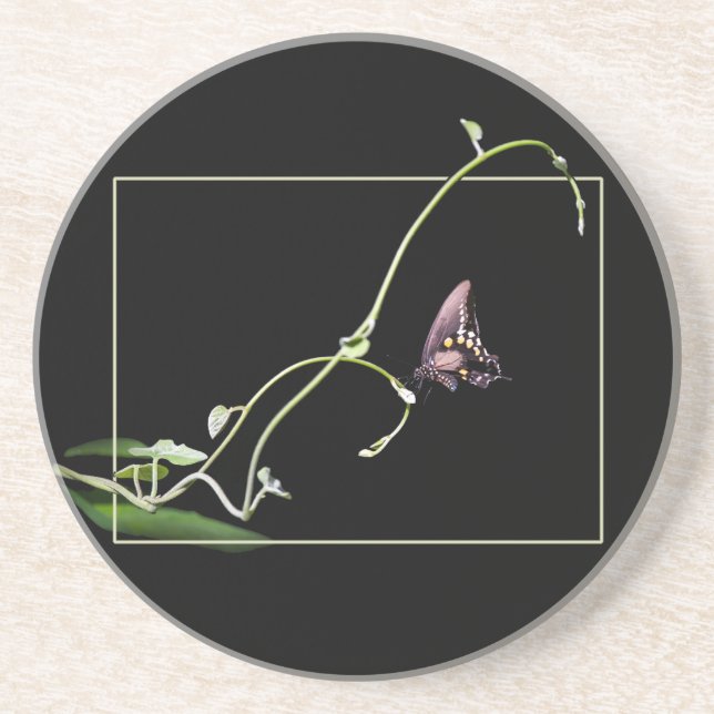 Black Swallowtail Butterfly Coaster (Front)