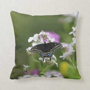 Black swallowtail butterfly cushion