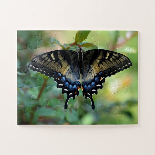Black Swallowtail butterfly Jigsaw Puzzle (Horizontal)