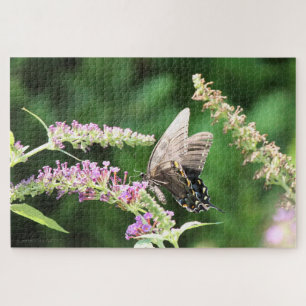 Black Swallowtail butterfly   Jigsaw Puzzle