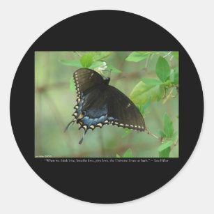 Black Swallowtail Butterfly - Love Gifts & Apparel Classic Round Sticker