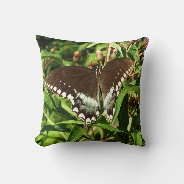 Black Swallowtail Butterfly Nature Photography Cushion (Front)