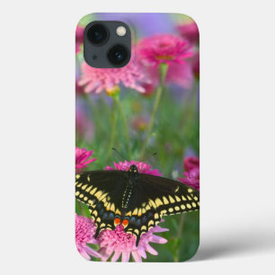 Black Swallowtail Butterfly on Dark Pink Flower iPhone 13 Case
