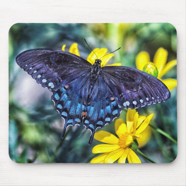 Black Swallowtail butterfly on yellow flowers Mouse Mat (Front)