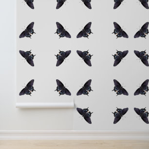 Black Swallowtail Butterfly Peel & Stick Wallpaper