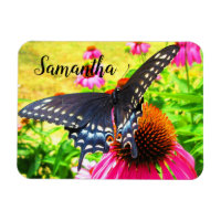 Black Swallowtail Butterfly Pink Echinacea Flowers