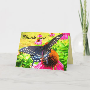 Black Swallowtail Butterfly Pink Echinacea Flowers Thank You Card