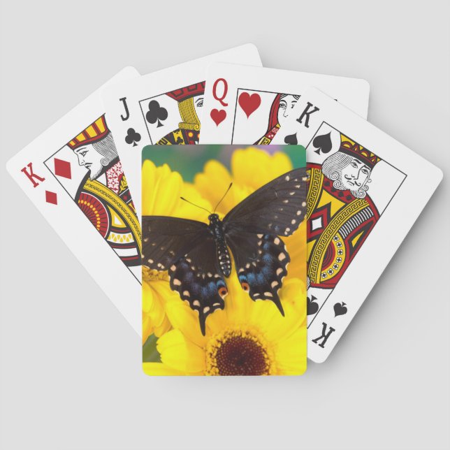 Black Swallowtail butterfly Playing Cards (Back)