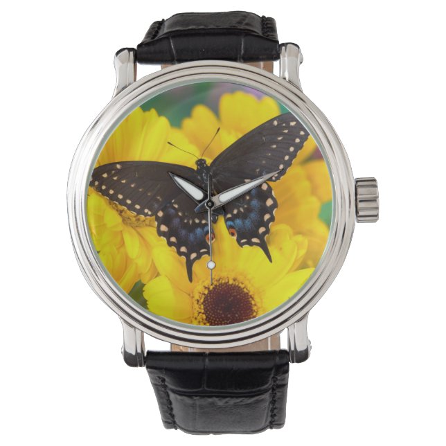 Black Swallowtail butterfly Watch (Front)