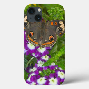 Black Swallowtail iPhone 13 Case
