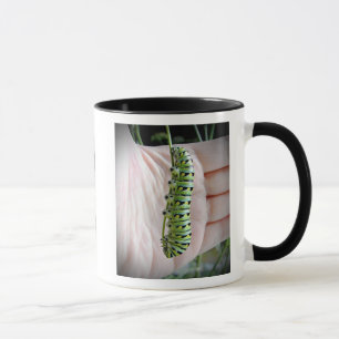 Black Swallowtail Caterpillar/Butterfly-mug Mug