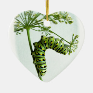 Black Swallowtail Caterpillar eating parsley Ceramic Tree Decoration