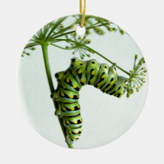 Black Swallowtail Caterpillar eating parsley Ceramic Tree Decoration