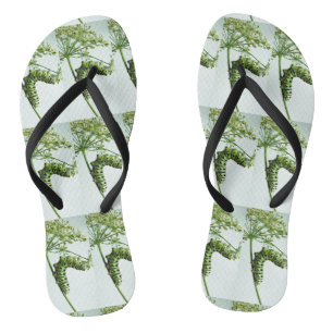 Black Swallowtail Caterpillar eating parsley Flip Flops