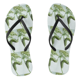 Black Swallowtail Caterpillar eating parsley Flip Flops