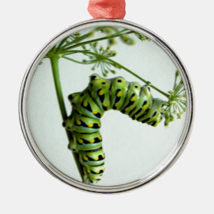 Black Swallowtail Caterpillar eating parsley Metal Tree Decoration