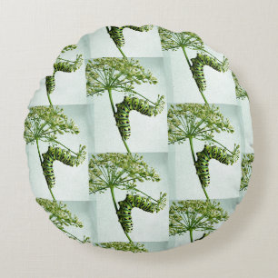 Black Swallowtail Caterpillar eating parsley Round Cushion
