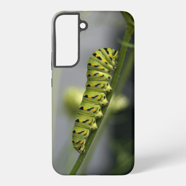 Black swallowtail caterpillar (parsleyworm) on Dil Samsung Galaxy S22+ Case (Back)