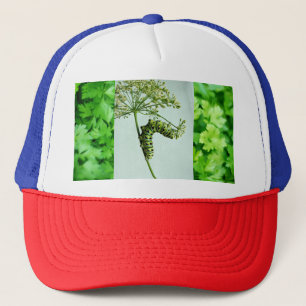 Black Swallowtail Eating Parsley  Trucker Hat