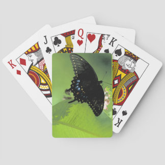 Black Swallowtail Jumbo Index Cards