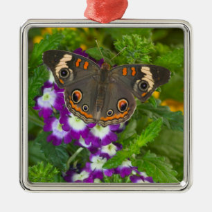 Black Swallowtail Metal Tree Decoration