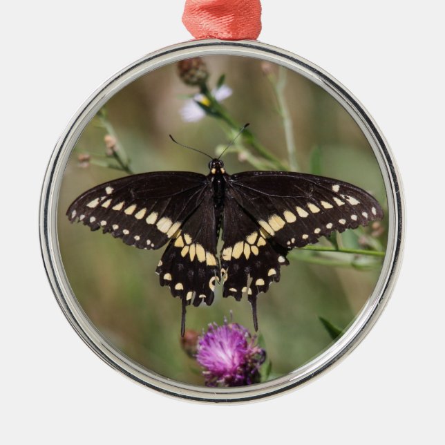 Black Swallowtail Metal Tree Decoration (Front)