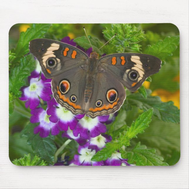Black Swallowtail Mouse Mat (Front)