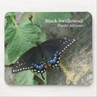 Black Swallowtail Mousepad
