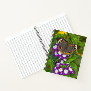Black Swallowtail Notebook