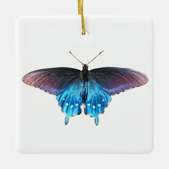 Black Swallowtail on the New River Ceramic Ornament (Front)