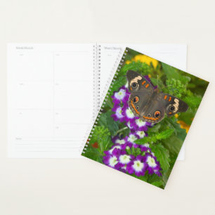 Black Swallowtail Planner
