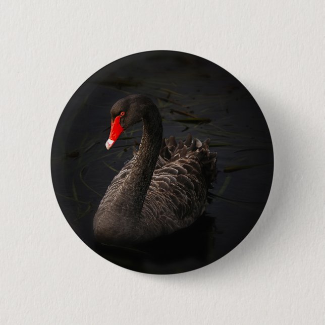 Black Swan 6 Cm Round Badge (Front)