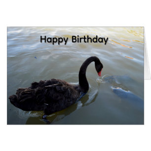 Black Swan And big Fish, Birthday Card