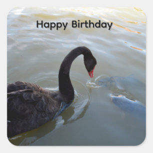 Black Swan And big Fish, Birthday Stickers
