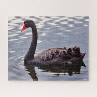 Black Swan Australia Jigsaw Puzzle