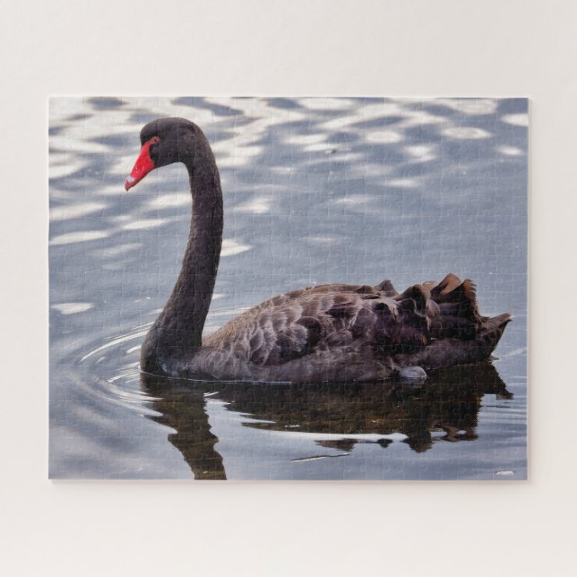 Black Swan Australia Jigsaw Puzzle (Horizontal)